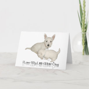 Cartão Adoro O Meu Cachorro Branco - Os Cachorros Malucos