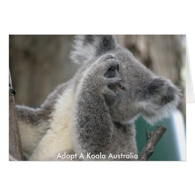 Cartão Adote um Coala Austrália Pata (Frente Horizontal)