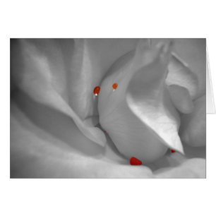 Cartão Aeolian Watercolor