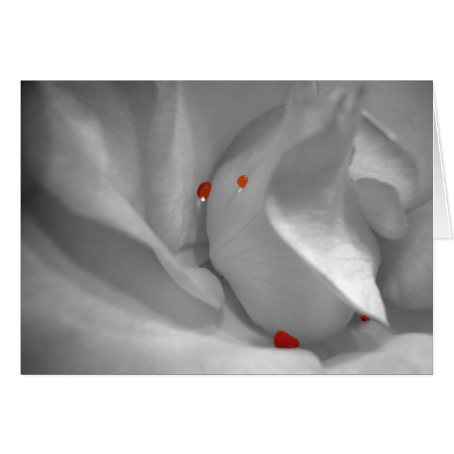 Cartão Aeolian Watercolor (Frente Horizontal)