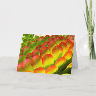 Cartão Aeonium note card by Debra Lee Baldwin