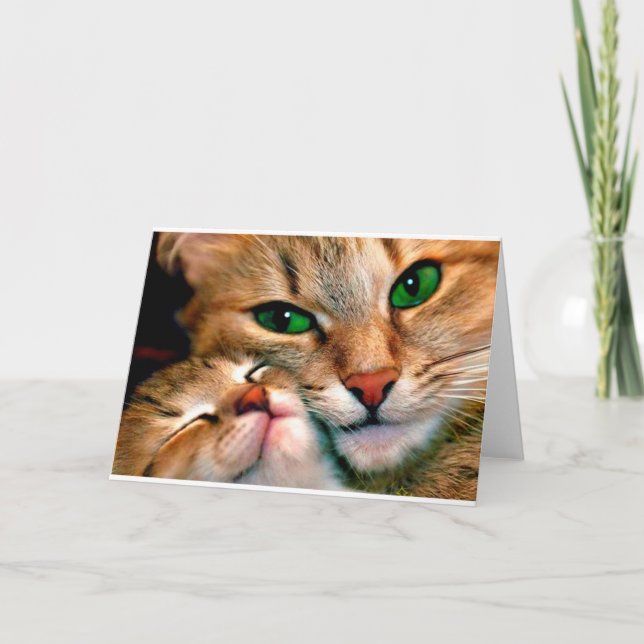 Cartão Afagos do gato (Frente)