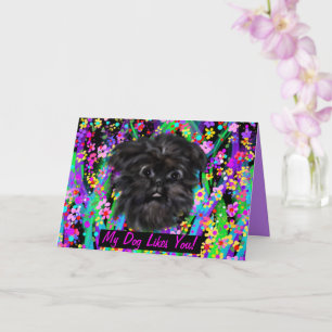 CARTÃO AFFENPINSCHER