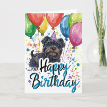 Affenpinscher com Balões Aniversário