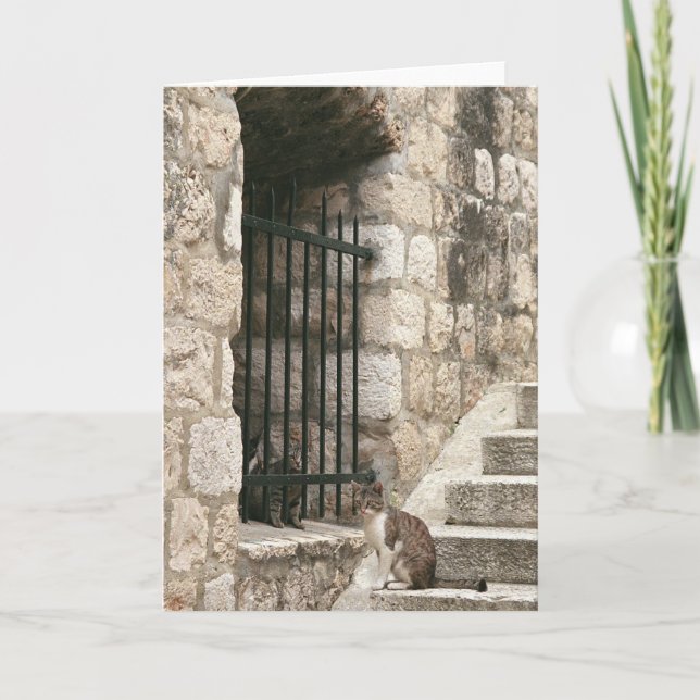 Cartão "afiance-me para fora" cardam (o vazio para (Frente)