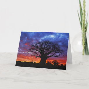 Cartão African baobab tree, Adansonia digitata, 2