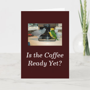 Cartão African Grey & Caique Parrot Coffee Friends Card