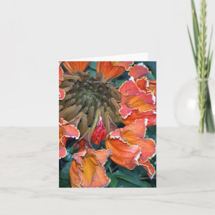 Cartão African Tulip Tree Notecard