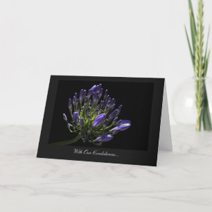 Cartão Agapanthus, African Lily - Com As Nossas Condolênc