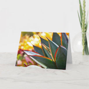 Cartão Agave 'Blue Glow' note card by Debra Lee Baldwin
