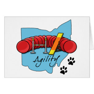 Cartão Agilidade de Ohio