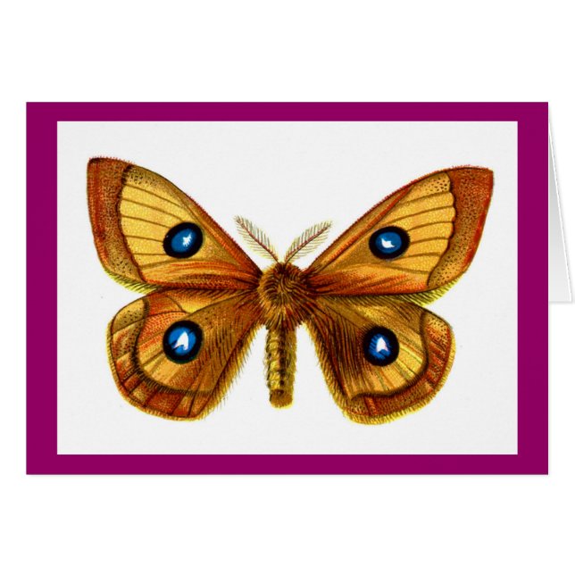 Cartão Aglia Tau Butterfly (Frente Horizontal)