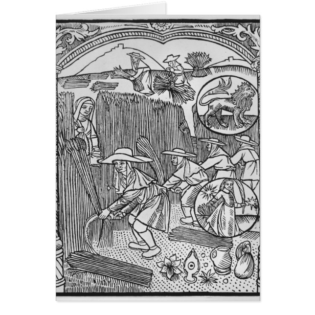 Cartão Agosto, colhendo, Leo (Frente)