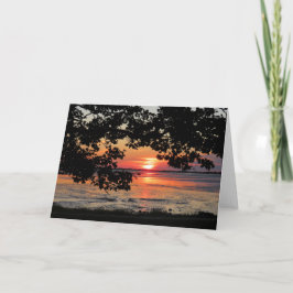 Cartão Agosto do nascer do sol em Nelson Park
