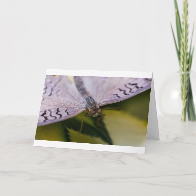 Cartão Agradável para encontrá-lo (Frente)