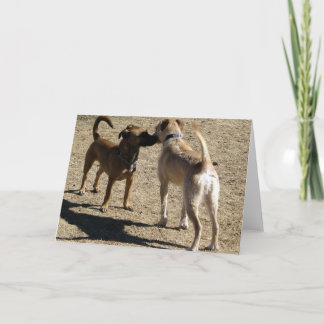 Cartão Agradável para encontrá-lo!