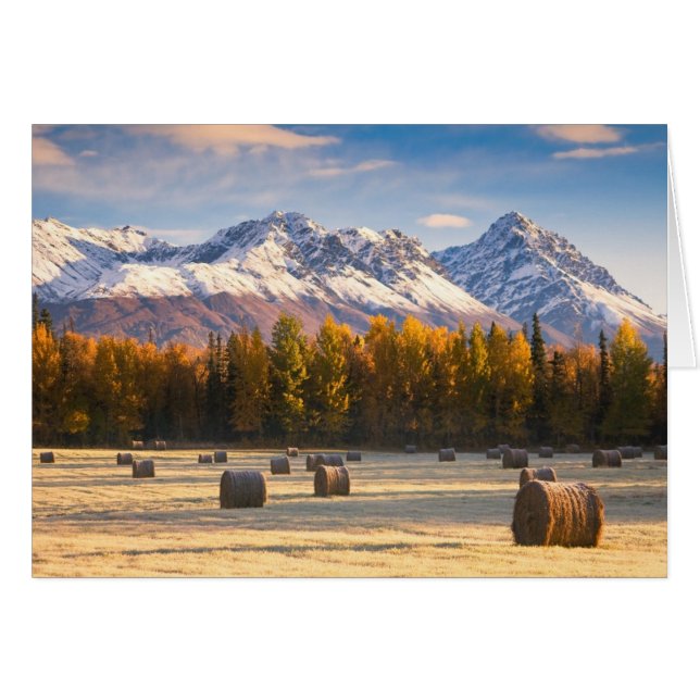 Cartão Agricultura do Alasca (Frente Horizontal)