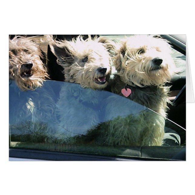 Cartão Aguardando Comida chinesa (Frente horizontal)