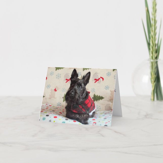 Cartão Aguardando o Papai Noel (com texto) (Frente)