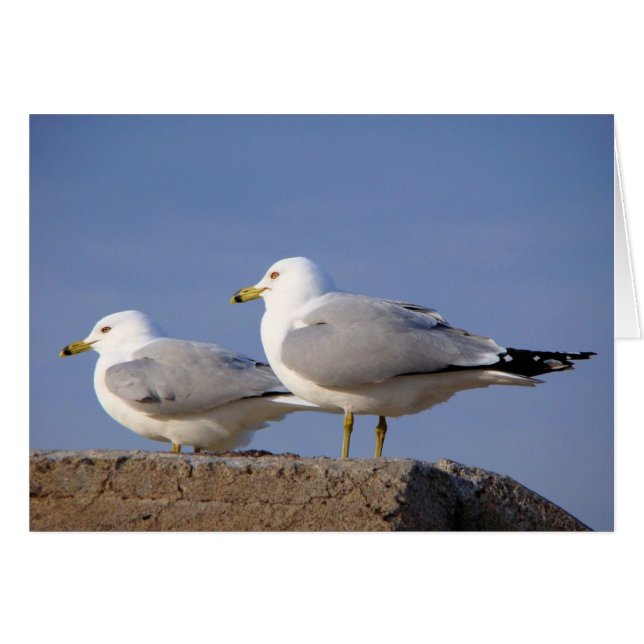 Cartão Aguardando remoção (Frente Horizontal)