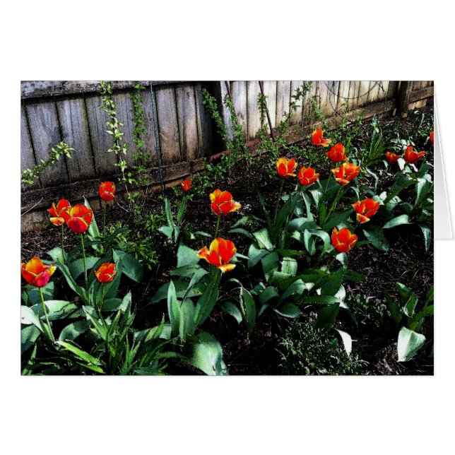 Cartão Aguarela da tulipa (Frente Horizontal)