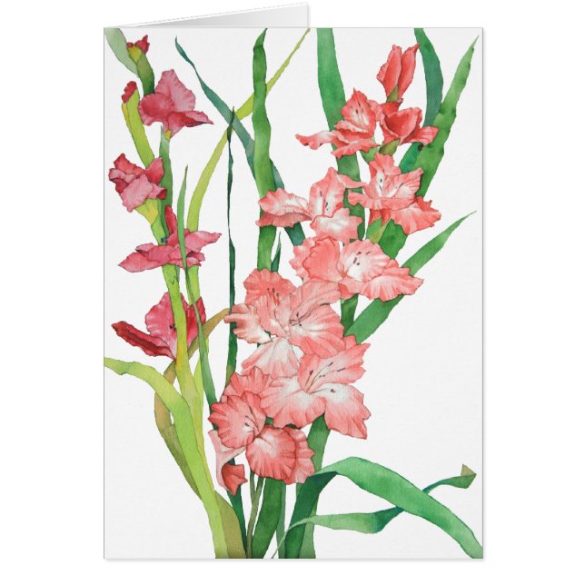 Cartão Aguarela Gladiolas cor-de-rosa (Frente)