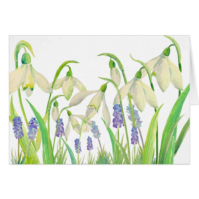 Cartão Aguarela Snowdrops e Muscari (Frente Horizontal)