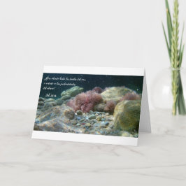 Cartão Aguas Antiguas Tarjeta - Trabalho 38:16