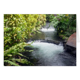 Cartão águas da costa rica