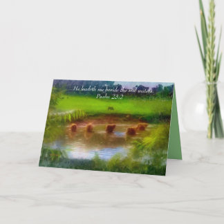 Cartão Águas Estáticas