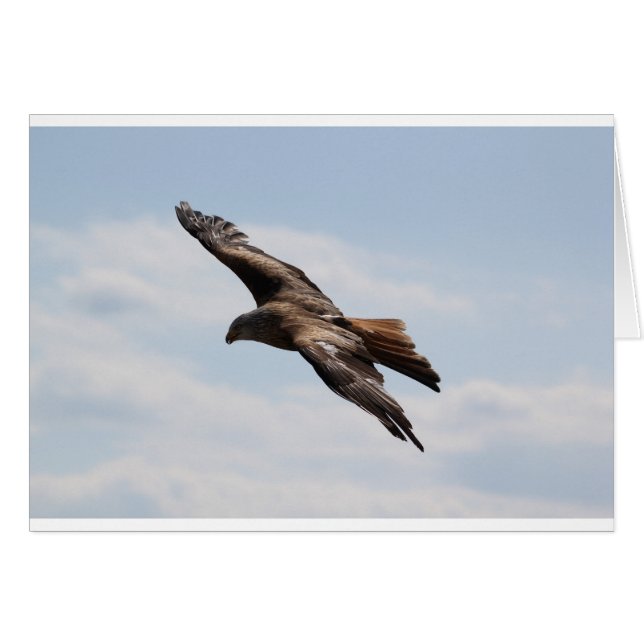 Cartão Águia (Frente Horizontal)