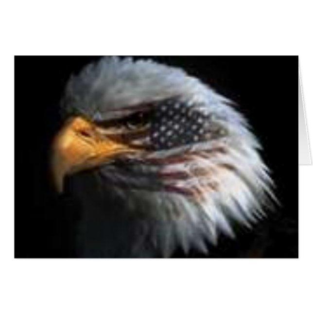 Cartão Águia Americana (Frente Horizontal)