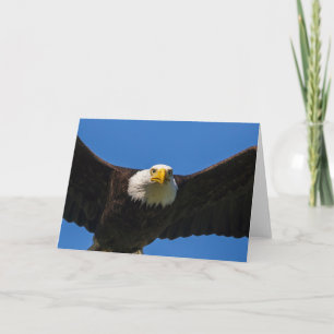 Cartão Águia Americana passa perto voando