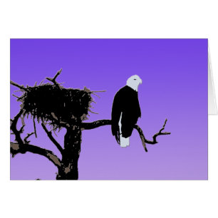 Cartão Águia Balda no Sunset - Arte Original da Vida Sel