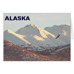 Cartão águia-de-inverno