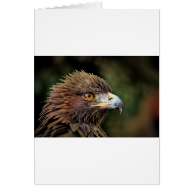 Cartão águia ouro (Frente)