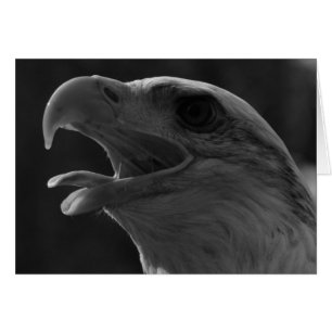 Cartão Águia Preta e Branca