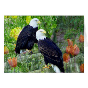 Cartão Águias americanas