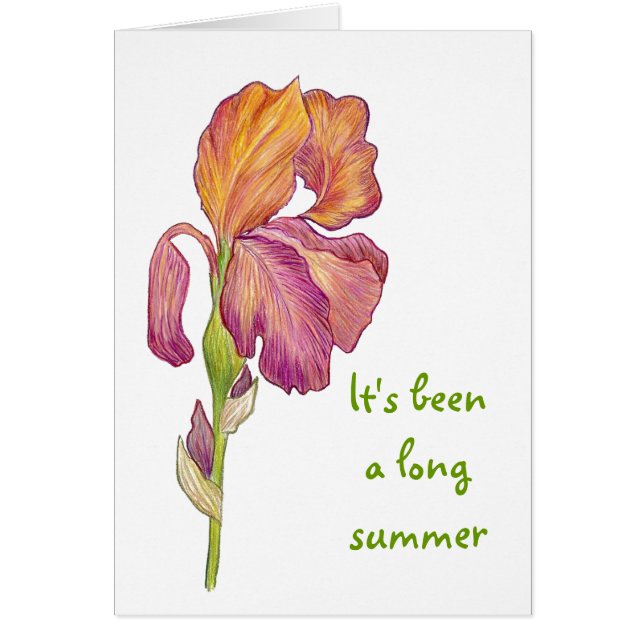 Cartão Ainda bem que voltou. (Frente)