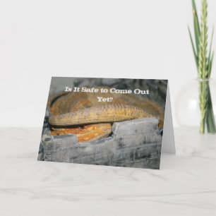 Cartão Ainda é seguro? Dragão barrado