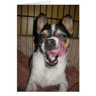 Cartão Ainda Está Melhorando?