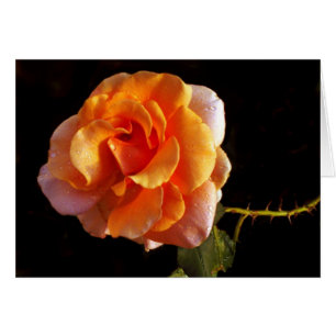 Cartão Ainda um rosa