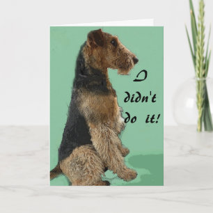 Cartão Airedale terrier Card
