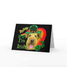 Airedale Terrier St Patricks