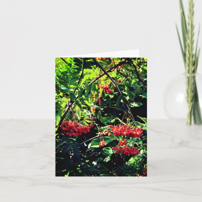 Cartão Airelas vermelhas (Frente)