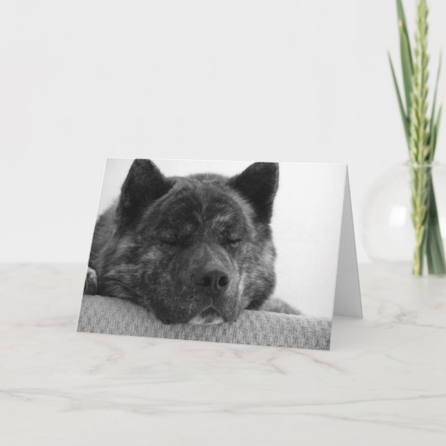 Cartão Akita (Frente)