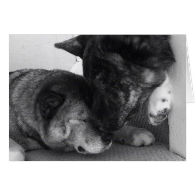 Cartão Akita Cards (Frente Horizontal)