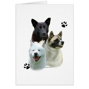 Cartão Akita Trio