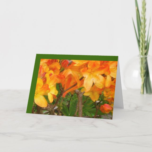 Cartão alaranjado do prazer da luz do sol (Frente)