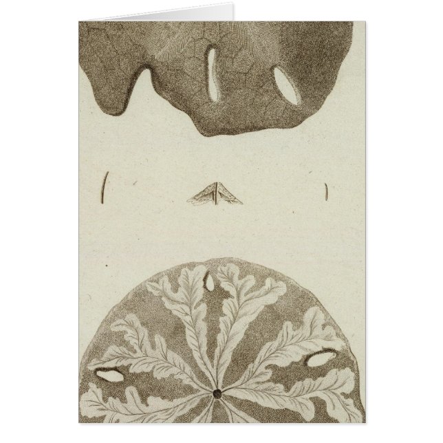 Cartão Alasca (Frente)